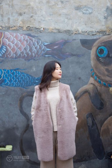 女婿上门了 综艺