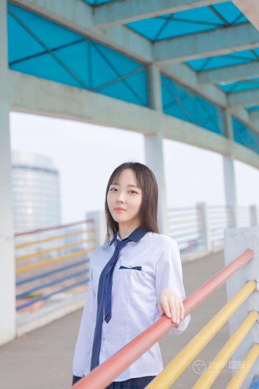 九龙寨之围城在线观看免费版