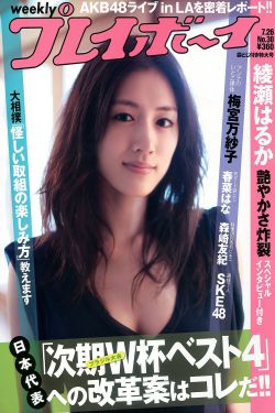 彷徨之刃电影完整版免费观看