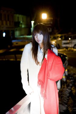 城中之城电视剧